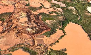 Aus der Luft sind abgeholzte Flächen im Amazonas-Gebiet zu sehen. (Archivbild) - Philipp Znidar/dpa