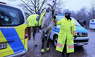 Die Polizei setzte auch Pferde bei der Suche ein. - Heike von Schulz
