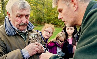 Vor der Freilassung wird das Tier noch mit einem Ring der Vogelwarte Helgoland beringt. - Regionalforstamt Hochstift