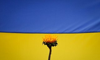 Durch Sanktionen solidarisieren sich die USA weiter mit der Ukraine. (Symbolbild) - Jesus Vargas/