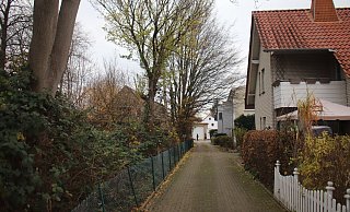 Einige der großen Bäume sind trocken. Herabstürzende Äste können vor allem für Spaziergänger und spielende Kinder gefährlich werden. - Björn Kenter