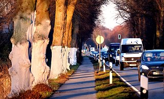 Die Wirtschaft sieht den Ausbau der B61 als unbedingt erforderlich an. Umweltschützer kämpfen um den Erhalt der Bäume. - Andreas Frücht