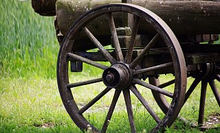 Der Kutschunfall ereignete sich am Mittwochabend im Steinhagener Ortsteil Brockhagen. - Pixabay