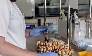 Wieder wurden mehr Menschen positiv auf das Coronavirus getestet. - (Symbolbild): Pixabay