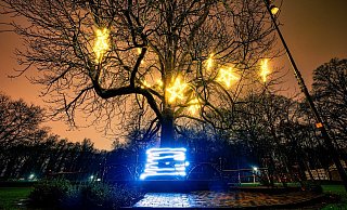 Auf dem Schützenplatz in Paderborn leuchten allabendlich Sterne in der alten Kastanie. - Besim Mazhiqi