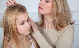 Kopfläuse sind im Kreis Höxter auf dem Vormarsch. Die kleinen Parasiten leben vor allem in Kinderhaaren, sorgen für Juckreiz und vermehren sich schnell. - rw-system