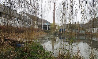 Dieser Teich samt dem dazugehörigen Baulauf soll zum Zentrum des innenliegenden Gartens werden, der auch den Bewohnern von Ottbergen offenstehen soll. - Manuela Puls