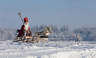 Viele stellen sich ideale Weihnachten so vor: Drinnen leuchtet der Baum, draußen türmt sich der Schnee. (Archivbild) - Thomas Warnack/dpa