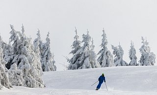 Ein Wintersportler fährt auf Skiern eine Piste hinunter. - Philipp von Ditfurth/dpa