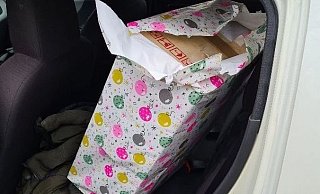 Die Zollbeamten fragten den Mann am Rastplatz nach dem Inhalt dieses großen Geschenks für die Nichte aus Bielefeld. - Zoll Bielefeld