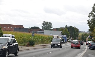 In Lenzinghausen: Links der Bielefelder Straße - dort, wo jetzt noch der Mais steht - sollen bald neue Häuser hochgezogen werden. - Mareike Patock