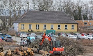 Mehrere Bäume wurden im Februar am Haus der Jugend und auf dem Hockeyplatz gefällt. Der Abriss des Jugendheims verschiebt sich nun aber. - Ulf Hanke