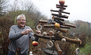 Der "Weihnachtsbaum" in Friedhelm Diebroks Garten ist nicht nur hübsch anzusehen - er funktioniert auch. Meisenringe, Zapfen mit Fettfutter und Äpfel locken - je nach Vorliebe - verschiedene Arten an. - Meiko Haselhorst