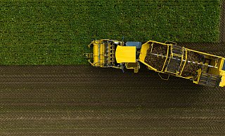 Mit einem Rübenroder werden Zuckerrüben auf einem Feld geerntet. Für Zuckerproduzenten ist die Rüben-Kampagne gestartet. - Philipp Schulze/dpa