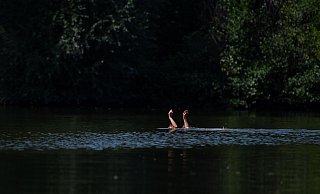 Wer in Not gerät, sollte auf sich aufmerksam machen - etwa mit den Armen winken und rufen. - Fabian Sommer/dpa/dpa-tmn