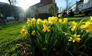Der Start für den „Frühling" wäre demnach am 18. März, in 42 Tagen. - Andreas Frücht