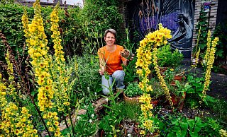 Giftfrei gärtnern? Für Heike Boeckhaus ist das selbstverständlich. Ihr Garten ist ein wahres Paradies für Insekten und Pflanzen aller Art. - Besim Mazhiqi