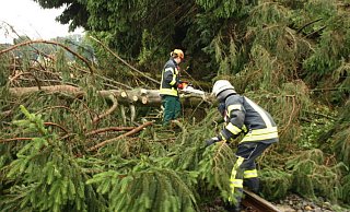 Einsatzkräfte der Espelkamper Feuerwehr bei einem der vielen Stürme, die in den vergangenen Wochen das Lübbecker Land heimsuchten. - Volker Dau