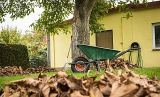 Ruhe vor dem Sturm: Bevor die stürmische Jahreszeit beginnt, sollten die Bäume auf dem Grundstück gründlich in Augenschein genommen werden. - Christin Klose/dpa-tmn