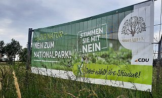 Nach Bürgerentscheiden hatten der Kreis Höxter und der Kreis Paderborn eine Bewerbung für einen Nationalpark mehrheitlich abgelehnt. - David Schellenberg
