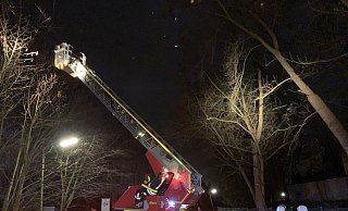 An der Herforder Straße in Enger sägten Feuerwehrleute am Sonntagabend einen abgeknickten Ast ab, der hinab zu fallen drohte. - Feuerwehr Enger