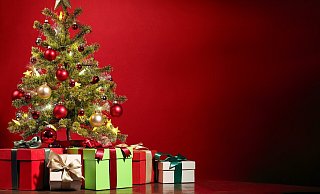 Damit der Weihnachtsbaum möglichst lange frisch bleibt, sollte er erst kurzfristig vor den Festtagen gekauft und aufgestellt werden. - Symbolbild: Pixabay