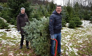 Wiebke und Heiner Gellhaus bringen ihren Baum zum Einstrumpfen. - Johanna Werth