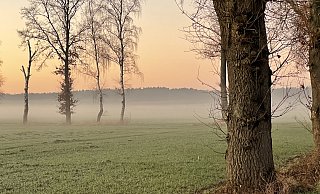 Nebel zieht über den Felder in der Nähe von Espelkamp auf - an einem klaren, aber kalten Tag Ende Dezember 2024. - Heike von Schulz
