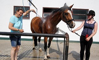 Beim Reiterhof Wortmann finden seit 1979 die Ferien von Kindern auf dem Rücken der Pferde statt - hier ein Bild aus dem Jahr 2015. - Friderieke Schulz