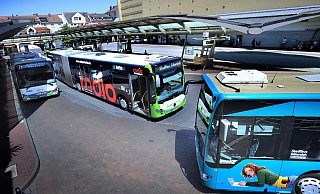 Gleichzeitig fahren im Halbstundentakt die Busse vom ZOB ab. Ein System, das von Kritikern als ineffektiv kritisiert wird. - Andreas Fruecht