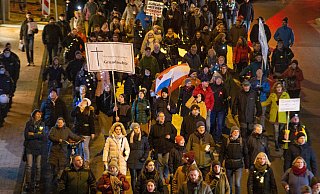 Die Demonstranten liefen vom Maspernplatz aus los durch die Innenstadt. - Niklas Tüns