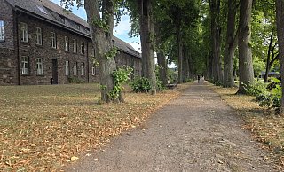 Der Friedhofswall sollte schon pünktlich zu Landesgartenschau aufgewertet werden. Mehrfach wurde das Projekt jedoch verschoben. - Thomas Kube