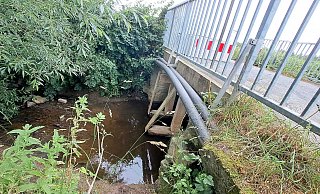 Eine Holzkonstruktion, die inzwischen kaum noch etwas bringt: Die Bergheimer Brücke ist gesperrt. - Madita Schellenberg