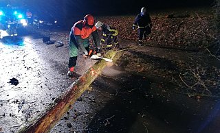 Baum wird geräumt - Feuerwehr Spenge