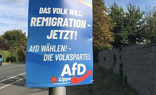 Die AfD hat bei der Integrationsratswahl in Detmold überraschend gut abgeschnitten. - Anneke Quasdorf