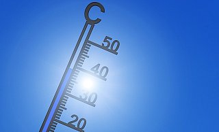 Wenn es richtig Sommer wird, finden das nicht alle gut. - Pixabay