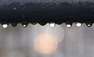  - Robert Michael/dpa-Zentralbild/dpa/Symbolbild