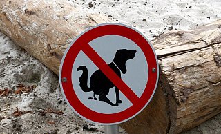 In Bielefeld hat die Zahl der Hunde im vergangenen Jahr deutlich zugenommen - und damit auch die der Hundehaufen. - Symbolfoto