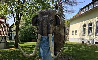 Das Mammut vor dem Heimatmuseum Löhne hat auch eine zeitlang Maske getragen. Die Mund-Nase-Bedeckung wird irgendwann in der Zukunft bestimmt mal eine große Rolle spielen. - Sonja Voss