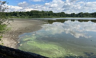 Der Wasserspiegel des Norderteichs ist weiter gesunken. - Ariane Mönikes