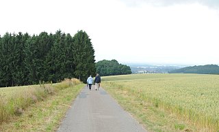 Wandern auf den Höhenzügen der Stemweder Berge ist beliebt. Das nördlichste Mittelgebirge ist ein Ausflugsziel. - Joern Spreen-Ledebur