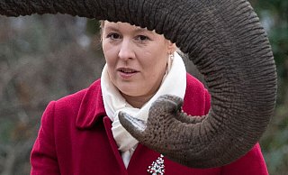 Berlins Regierende Bürgermeisterin Franziska Giffey (SPD) füttert im Zoo einen Elefanten. - Paul Zinken/dpa