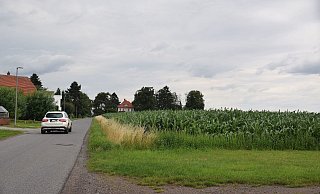 Östlich des Sieler Weges ist das Neubaugebiet geplant. - Mareike Patock