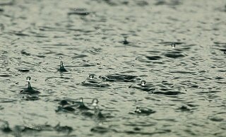 Neuer Regen ist auch für Ostwestfalen-Lippe angekündigt. - Pixabay