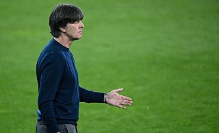 Joachim Löw sah Licht und Schatten. - Foto: Federico Gambarini/dpa