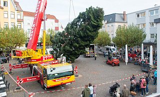 Viele Schaulustige verfolgen Anlieferung und Aufbau des gewaltigen Weihnachtsbaums, der an der "Herforder Himmelspforte" zum Blickfang des Weihnachtslichtes werden soll. - Ralf Bittner
