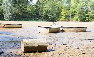 Die Fischteiche in Paderborn sind wieder teilweise versandet beziehungsweise ausgetrocknet. - Rajkumar Mukherjee