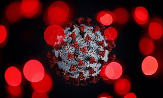Das Bild zeigt ein Coronavirus umgeben von anderen Krankheitserregern: In der Krise versuchen fragwürdige Aufklärer die Verunsicherung der Menschen für sich zu nutzen. - picture alliance / Geisler-Fotopress