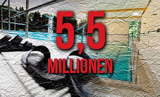 Nur zum Glattbügeln, nicht zum Verschönern: Mit der Investition hätte sich die Attraktivität von Freibad und "Welle" aber noch nicht gesteigert. - GERALD DUNKEL