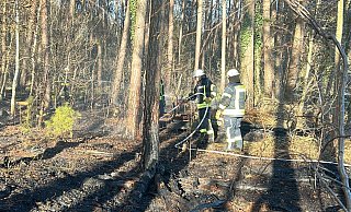 Große Trockenheit und viel Totholz im Osterwald schürt die Waldbrandgefahr. Einsatzkräfte beim Löscheinsatz am Samstag, 29. März. Am Mittwoch brach erneut an der Stelle Feuer aus. - Presseteam der Feuerwehr Espelkamp